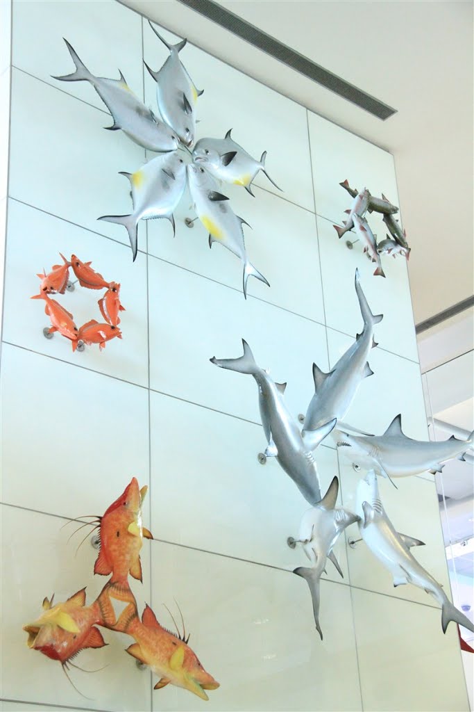 Decorations, D terminal, Miami airport by CaptTheo