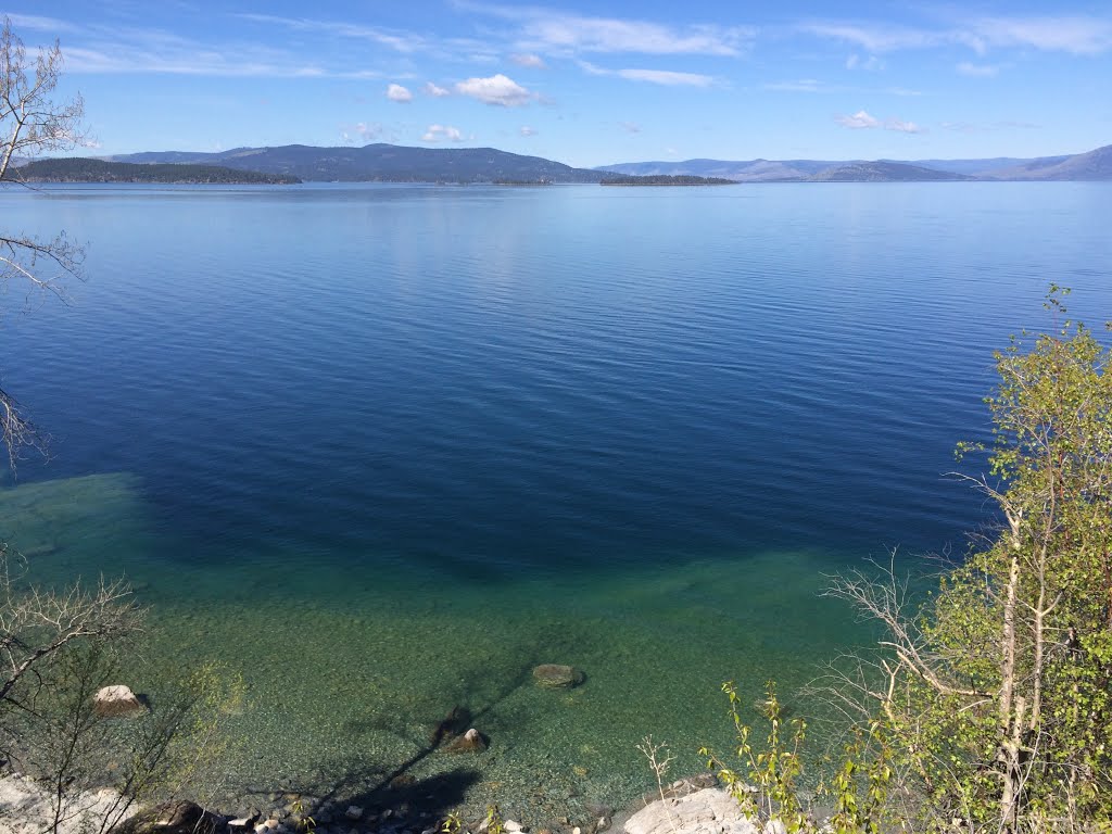 Flathead Lake Blue and Green water by DeEtte Fisher