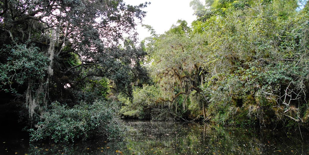 Estero River by AARGGHHH