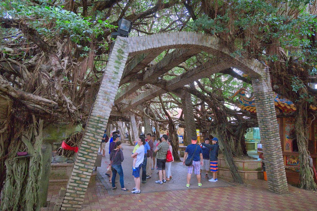 Baisha, Baisha Township, Penghu County, Taiwan by 陳建甫