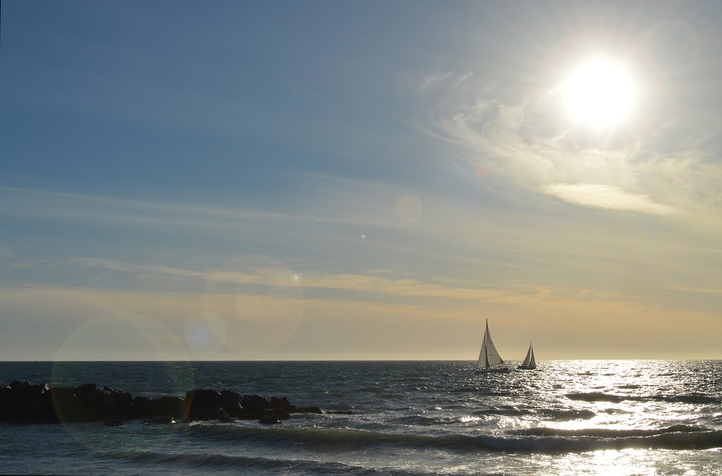 Venice Beach - Los Angeles by Nikko93fr