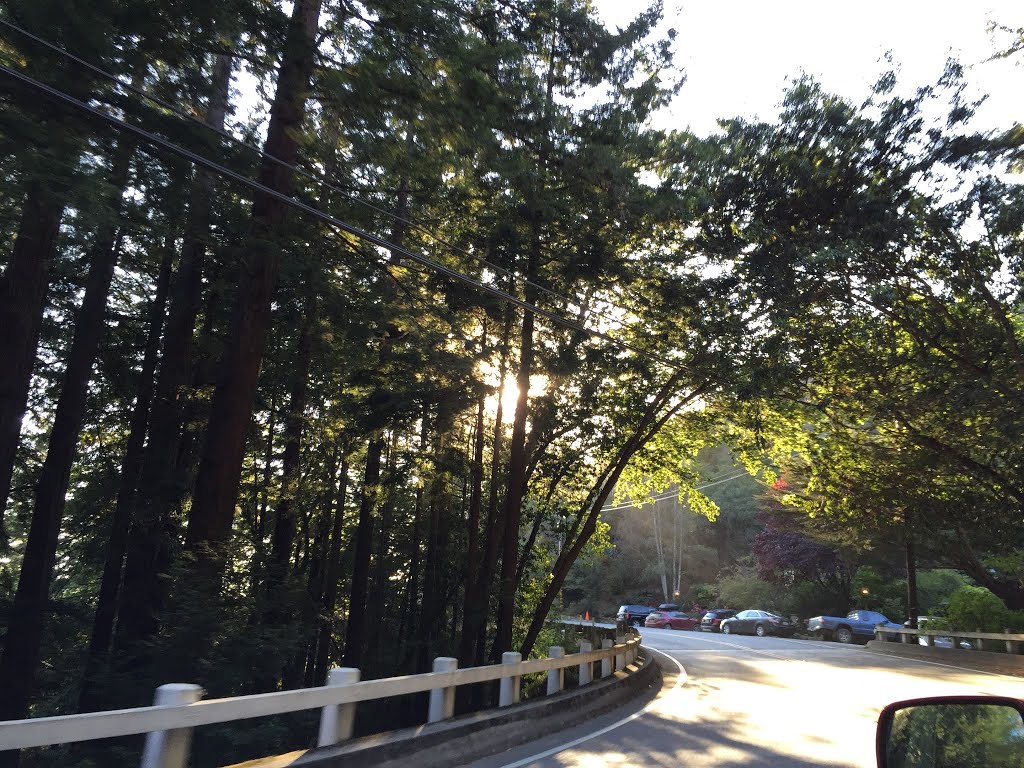 Big Sur, CA, USA by Judy Judy