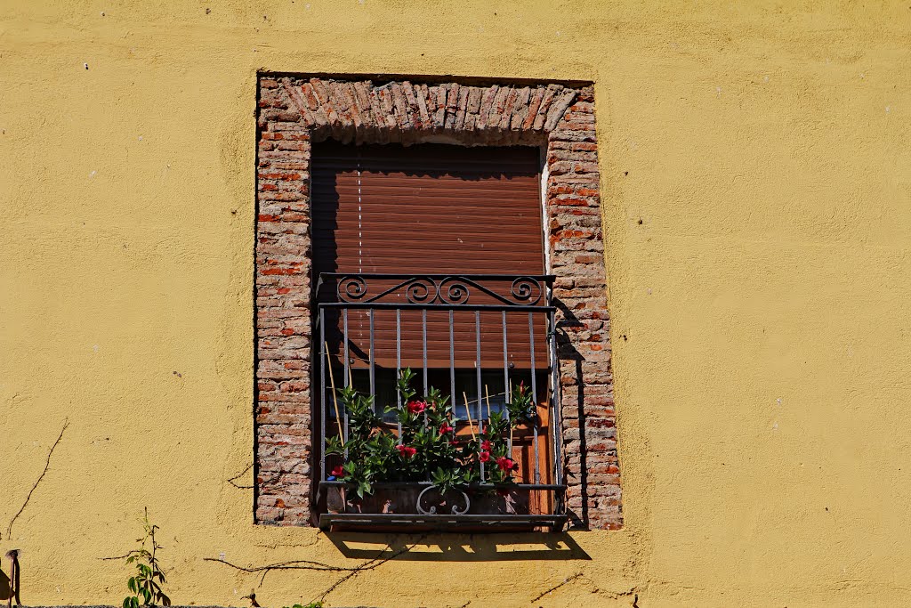 Balcón a la plaza by RA Melgar