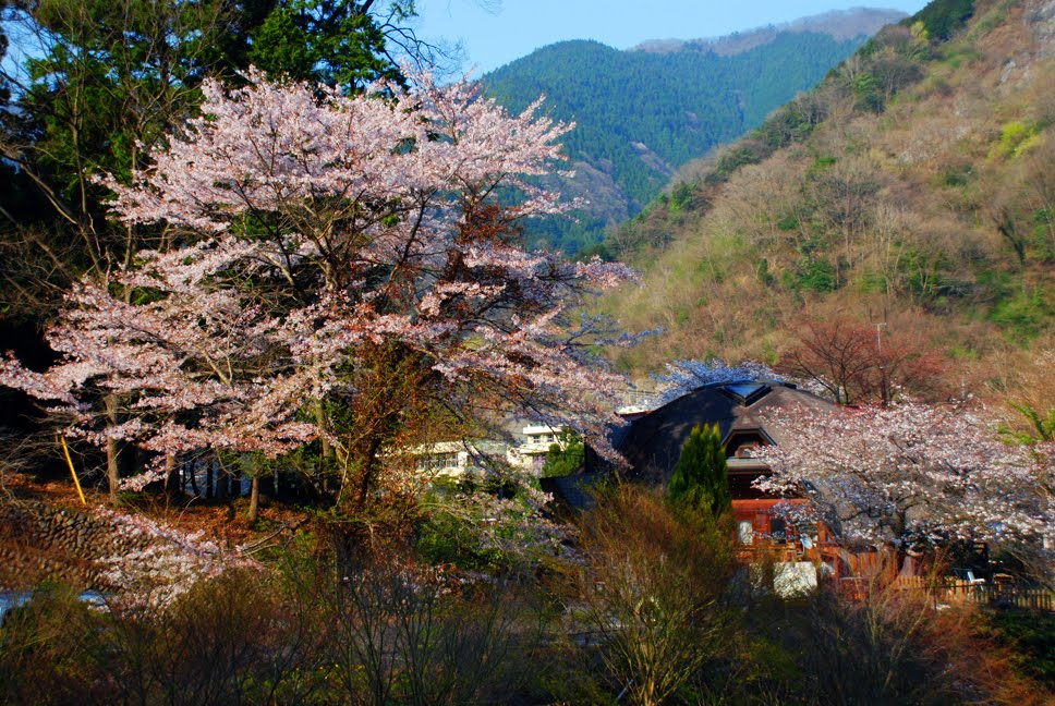 東京/桧原村 by T-mai