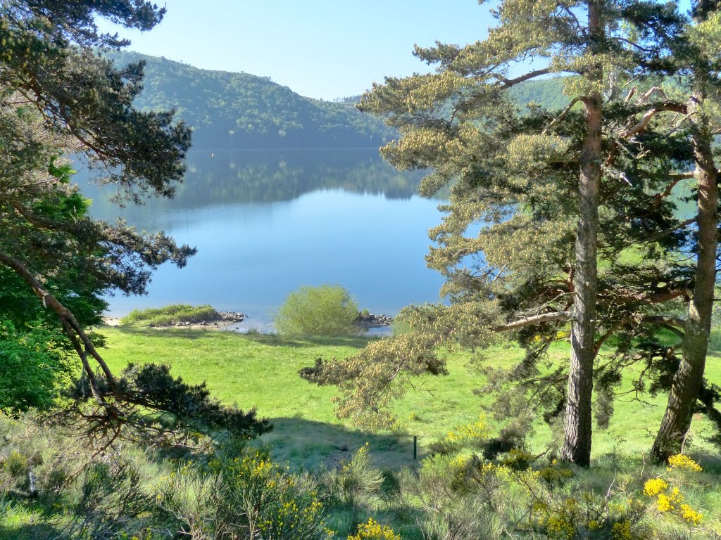 Le Lac d'Issarlés by epaulard59