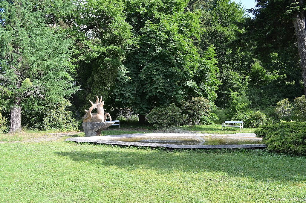 KARLOVA STUDÁNKA, CZ - příroda / nature by votoja cz