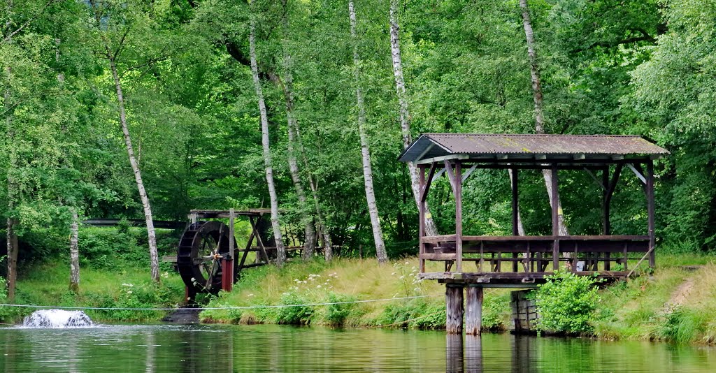 Angelteich an der Vierbuchermühle by Falk Heide