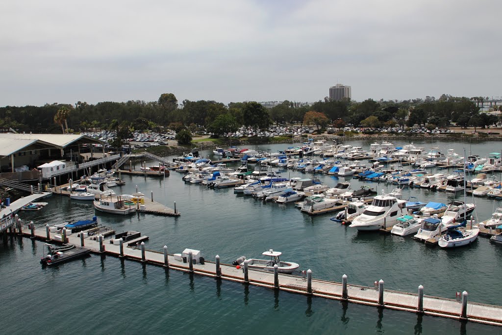 SeaWorld, San Diego - CA, USA by Ronny Lohmann