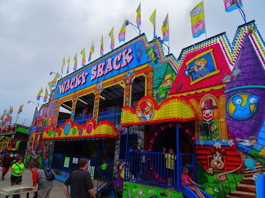 Wacky Shack Fun House by Corey Coyle