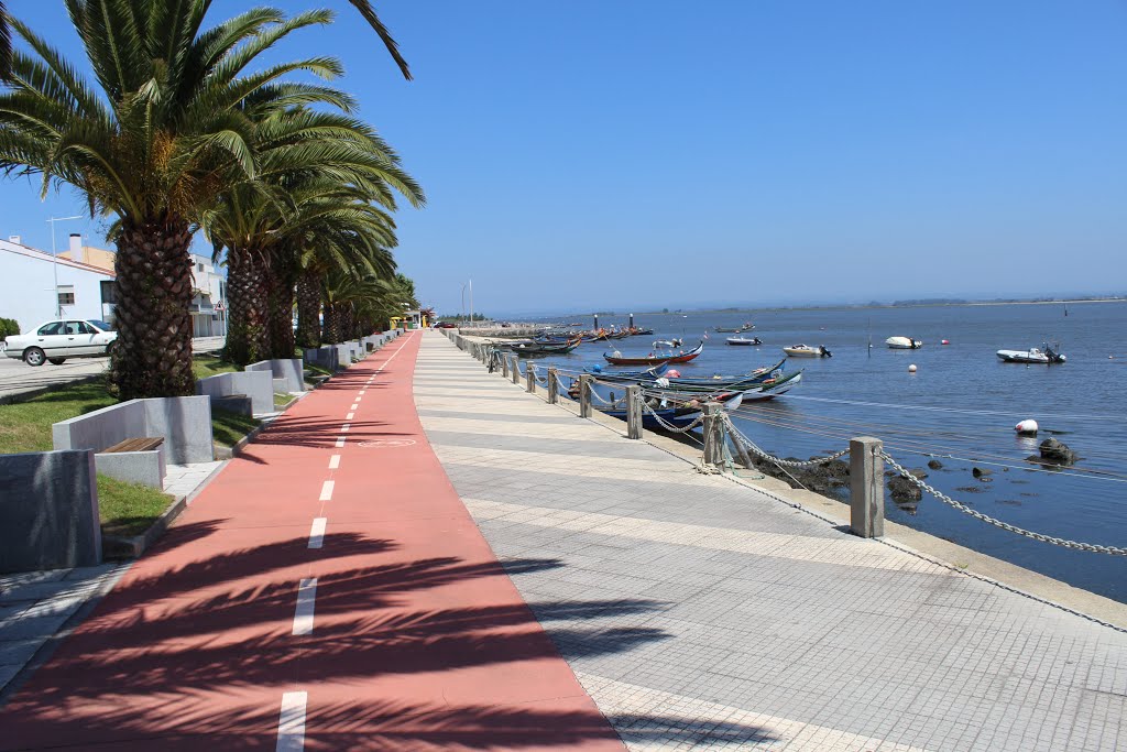 Ria de Aveiro by Manuel Pinho