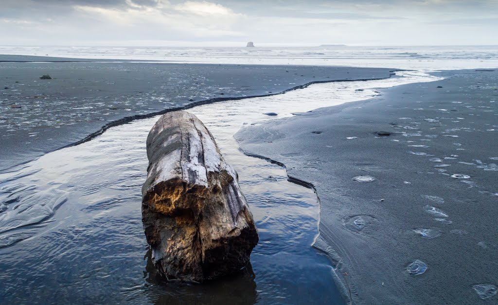 Ruby Beach by Josh Watilo