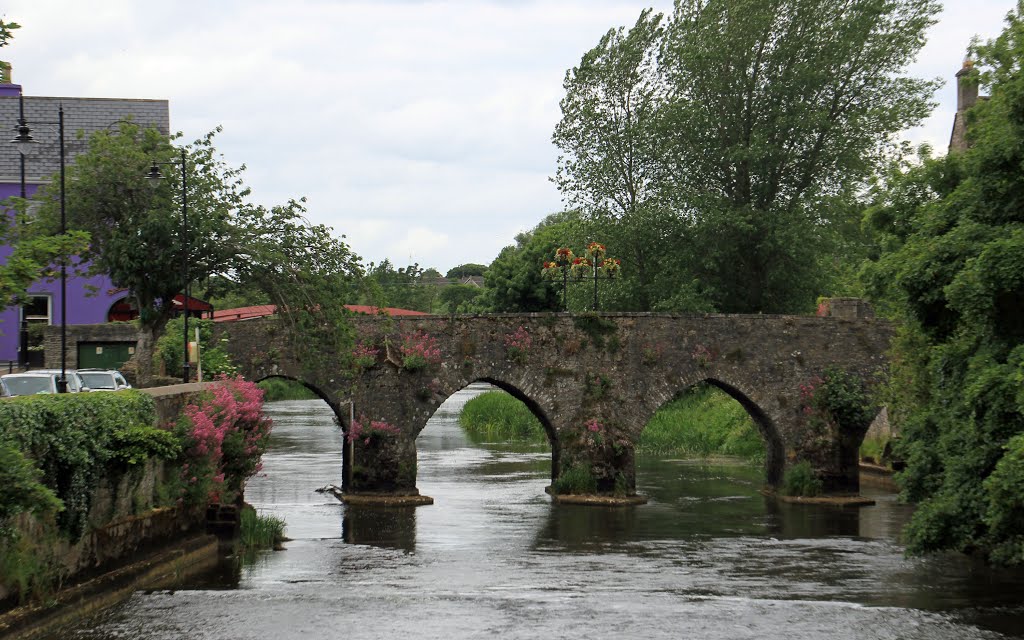 Trim, Co. Meath, Ireland by Cravens