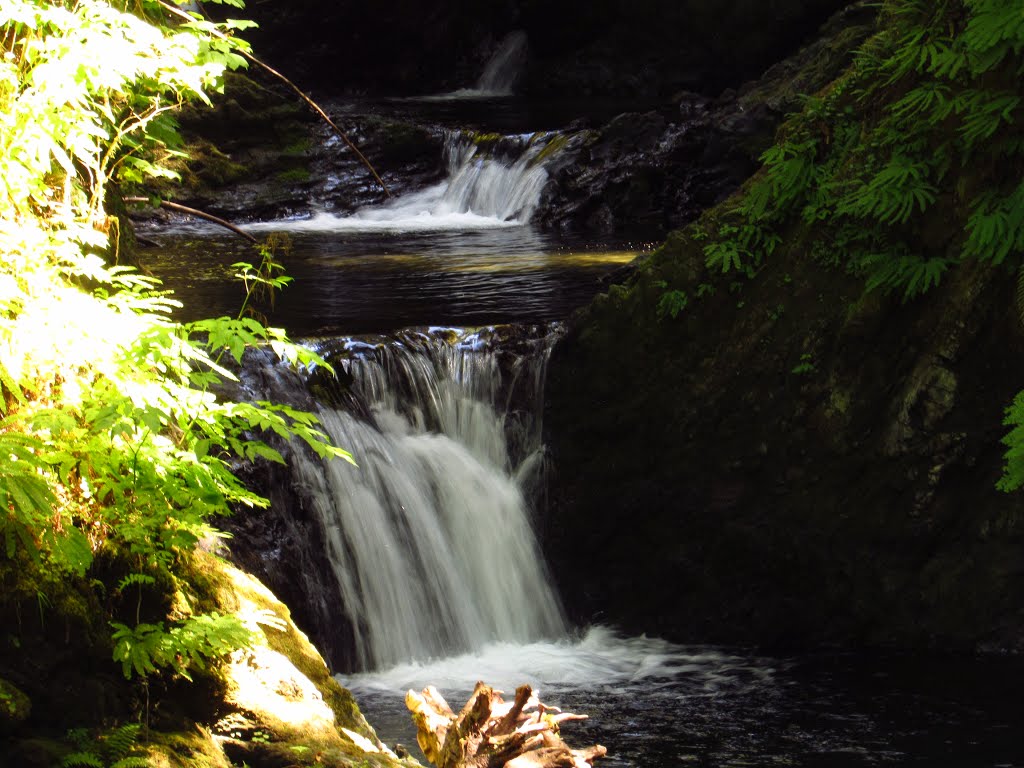 Willaby Creek Falls (15') by Chris Sanfino