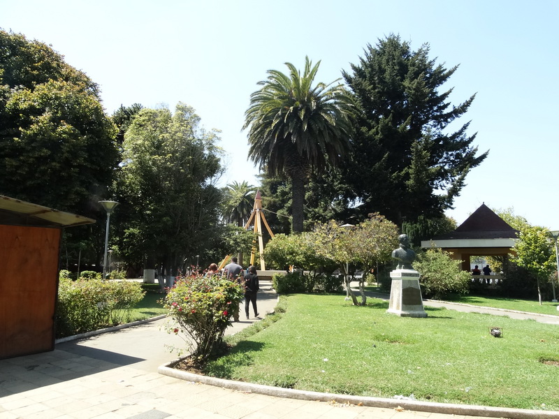 Arbolado plaza de Cañete by Oscar Fernández C