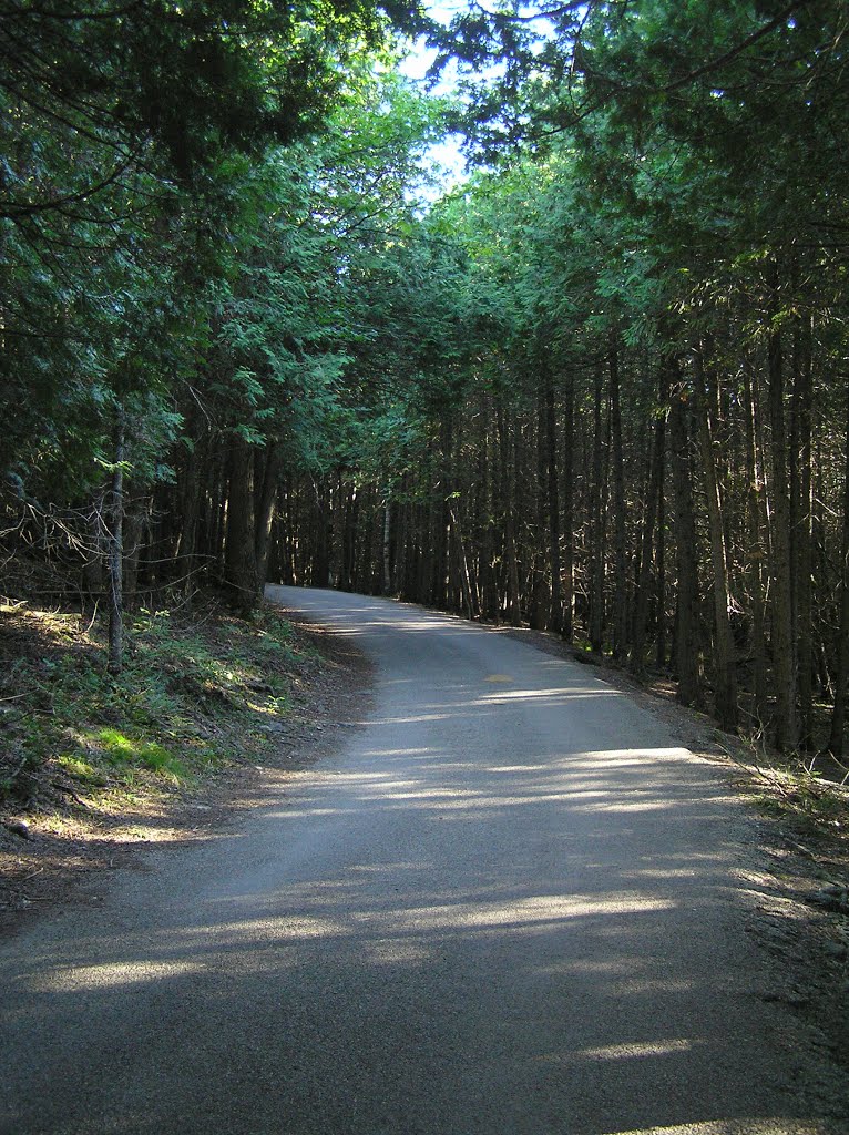 Road just past the high bridge at Elora Gorge by Boris Gjenero