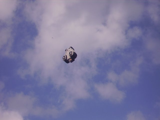 Globo oso panda en el Festival de globos en La Loma by ConVerGentes