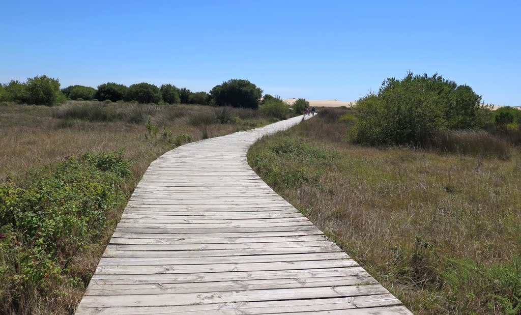 Parque Natural Dunas de Corrubedo. by RF Rumbao