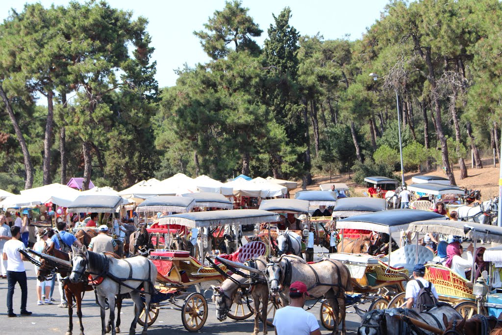 Adalar, 34970 Adalar/İstanbul, Turkey by Şenol KARA