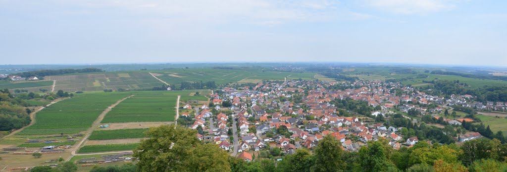 Panorama von der Burg Landeck mit Blick auf Klingenmünster by hadewephoto