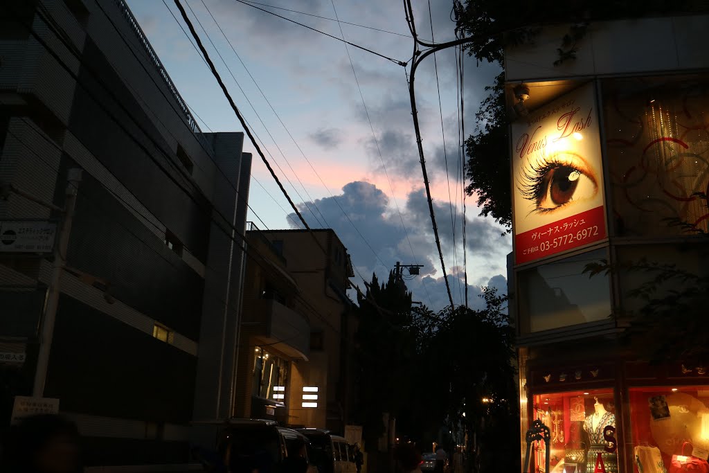 Sunset . Omotesando Tokyo by Naomi S-Savignac