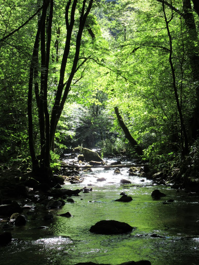 Stream after the Cascades de Murel by adrosser