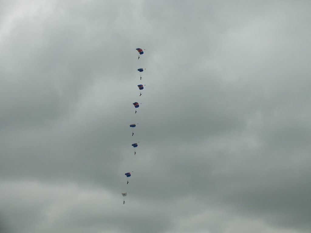 RAF Falcons, Cosford Air Show 2015, UK by AnandLeo