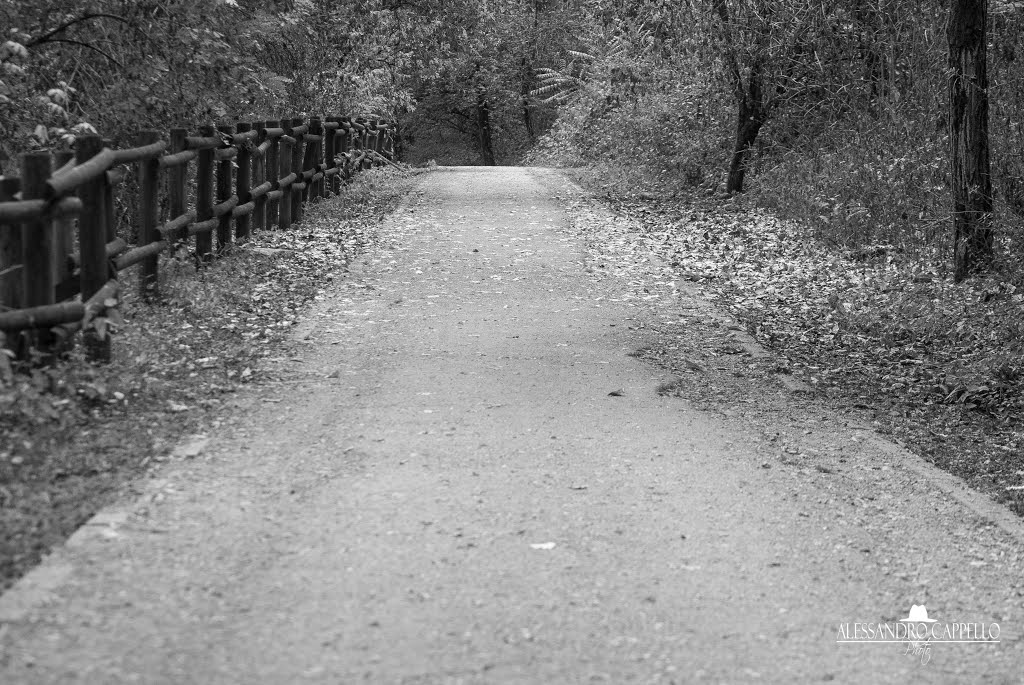 Parco degli Aironi - Gerenzano by Alessandro Cappello …