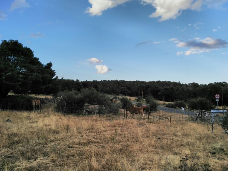 Peguerinos, 05239, Ávila, Spain by Maese