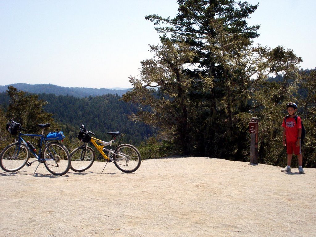 Butano Fire Trail - Jackson Flats Junction by georges80