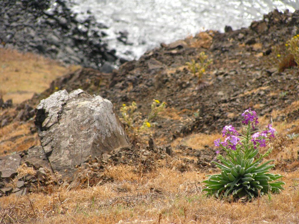 PONTA DE SAO LOURENCO_MADEIRA_2015 by natlow