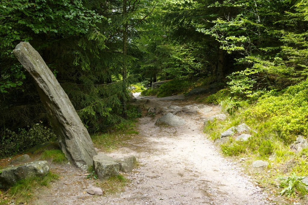 Sentier vers le Donon à Grandfontaine by Aurelien Ebel