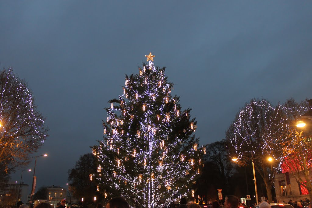 Reims - Sapin de Noël by Michel Viard