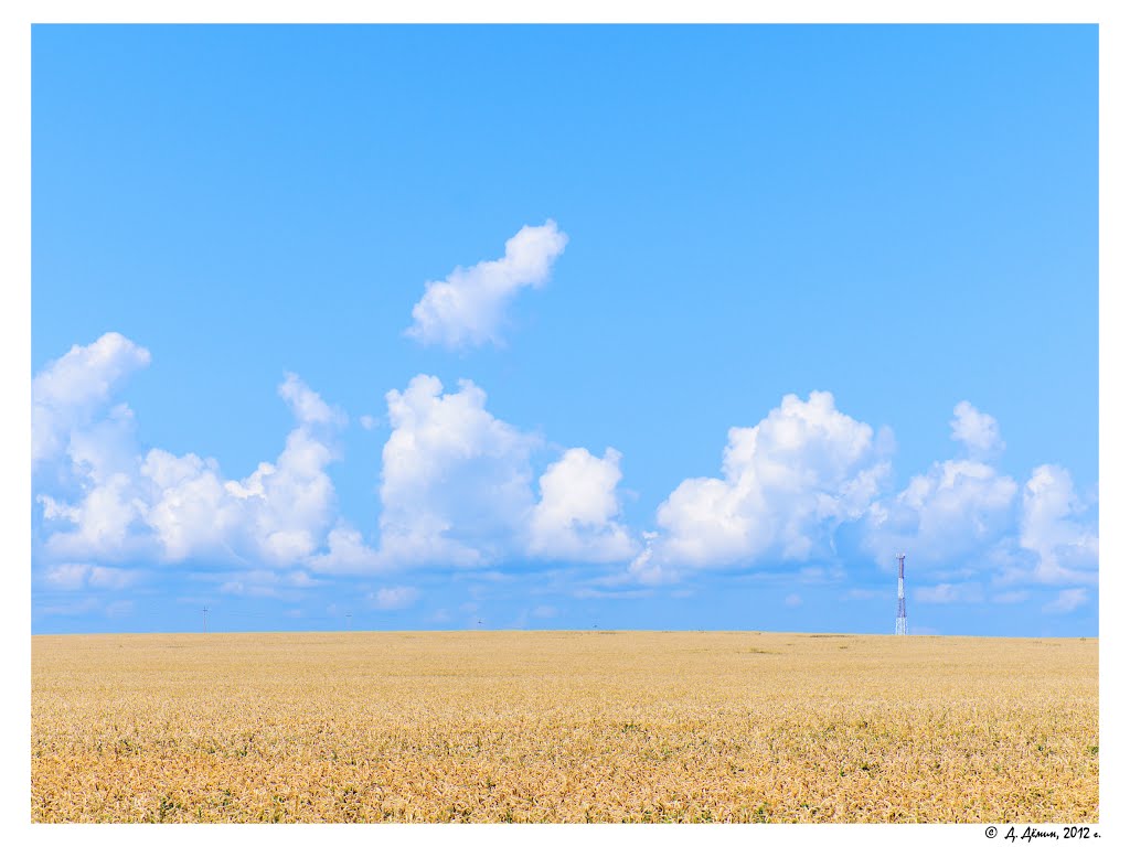 Zemetchinsky District, Penza Oblast, Russia by Дмитрий Дёмин