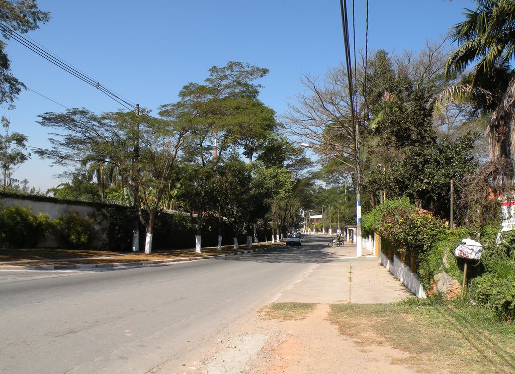 Av. São Camilo (Jul/08) by Flavio Galvão