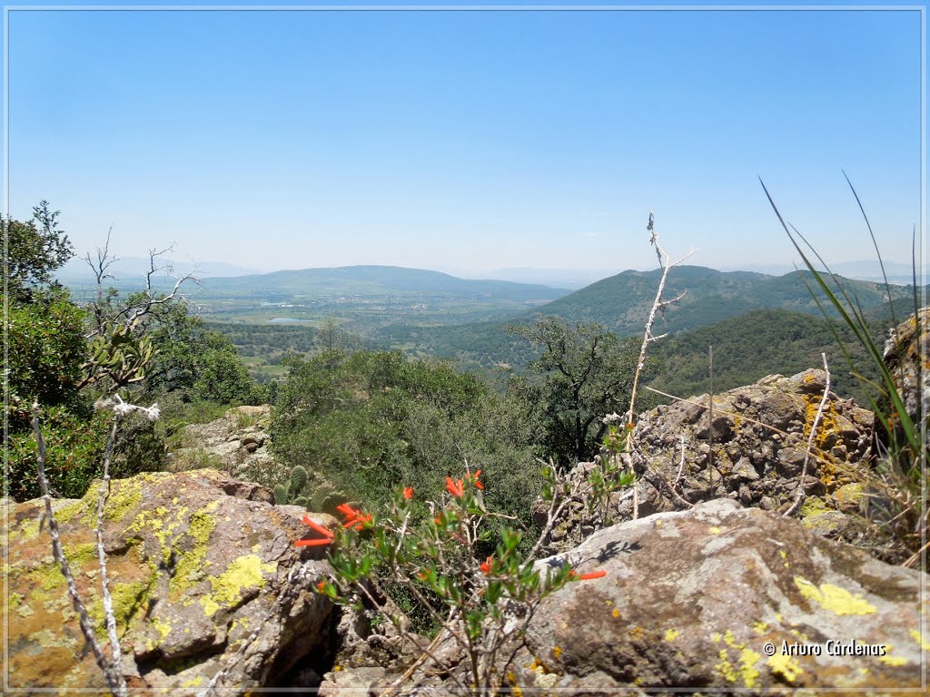 Peñas de Dexcani El Alto by Arturo Cárdenas L.