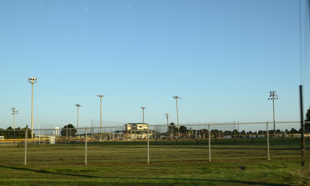 Reinsch Sports Complex by Buddy Rogers