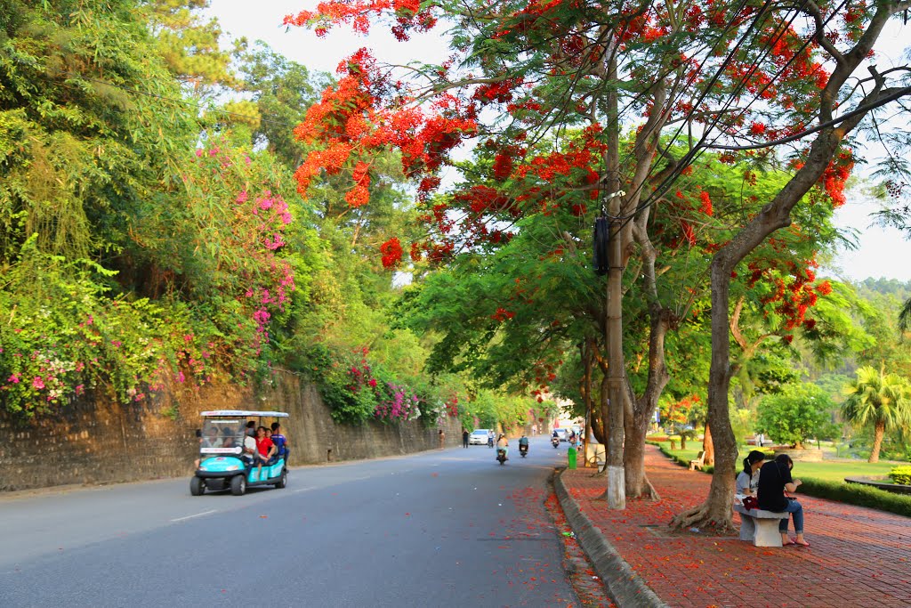 Khu du lịch Đồ Sơn, Đồ Sơn, Hải Phòng, Vietnam by Dần Lê