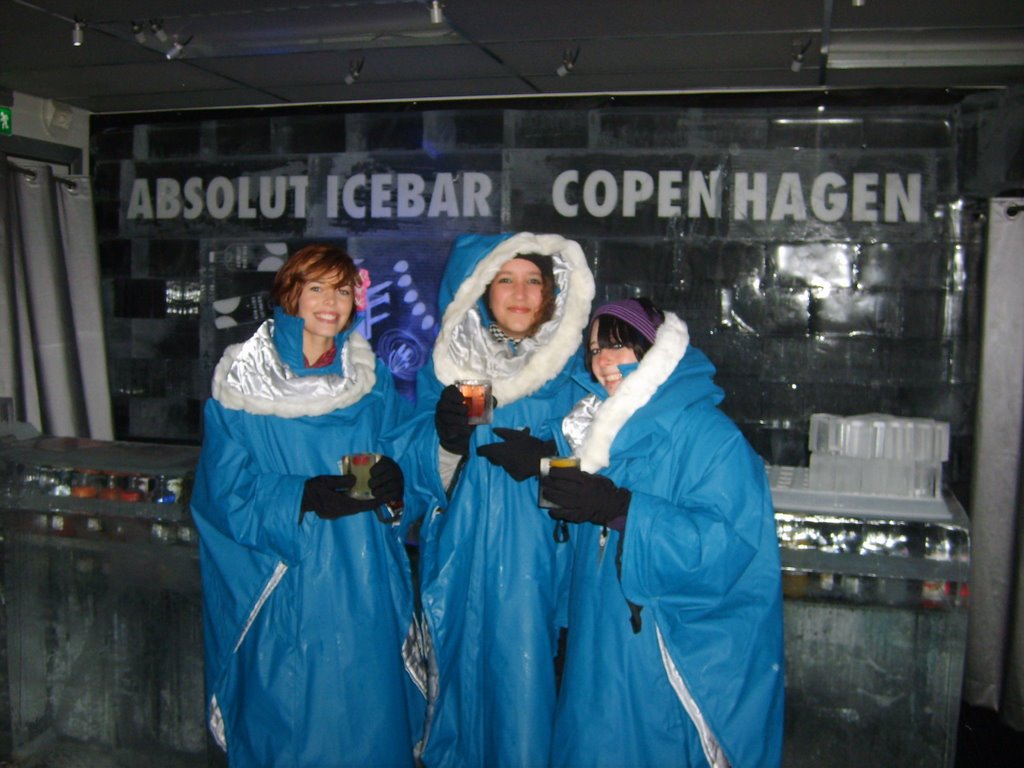 Inside Absolut Ice Bar Copenhagen - free thermal cloaks and ice drinks on entry! by charlienin