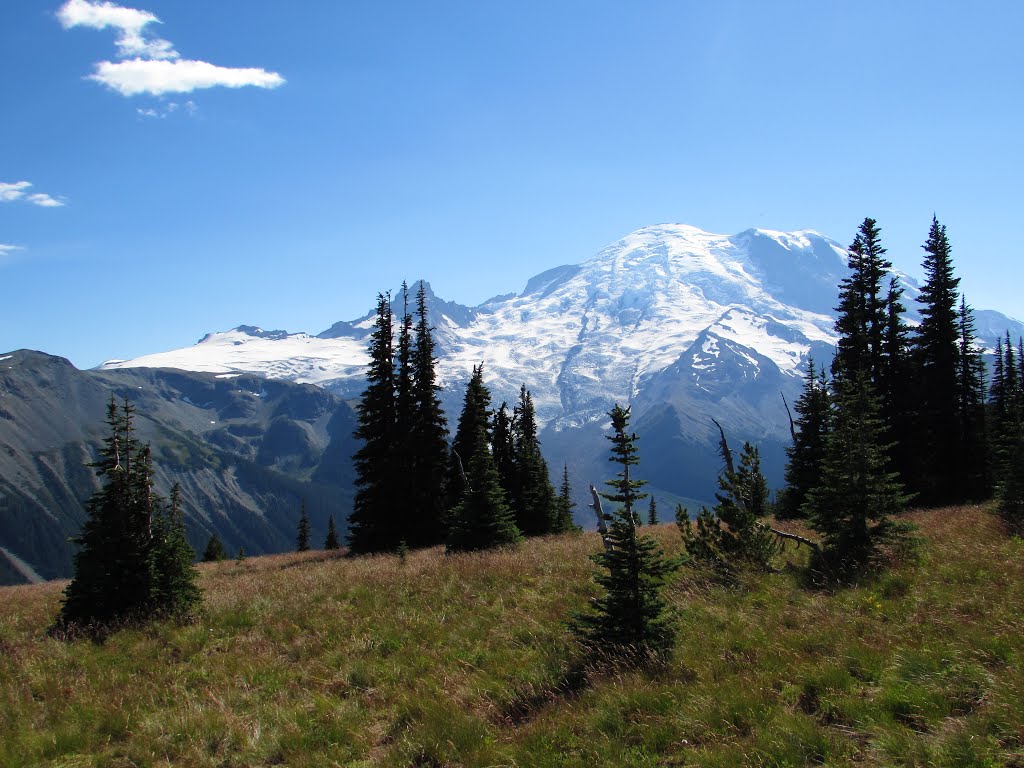 Pierce County, WA, USA by Chris Sanfino