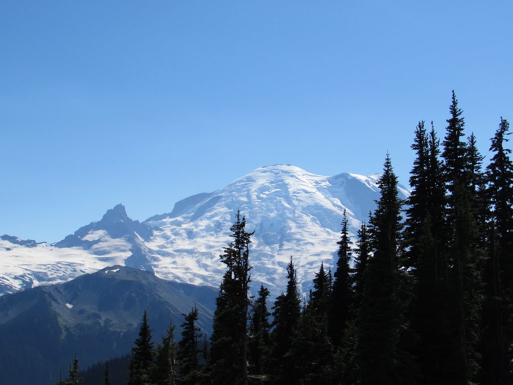 Little Tahoma-Mount Rainer from Sunrise Point by Chris Sanfino