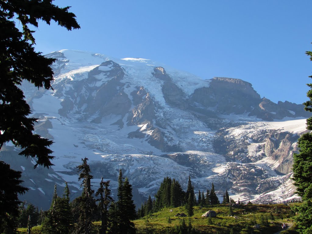 Mount Rainier from Alta Vista Trail by Chris Sanfino