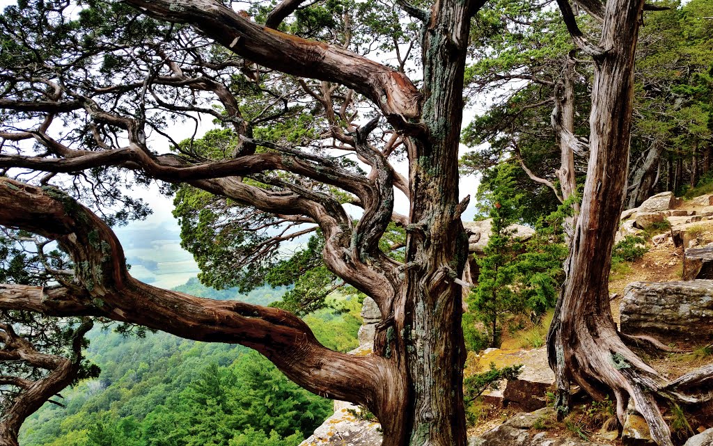 Gibraltar Rock State Natural Area by Aaron Carlson