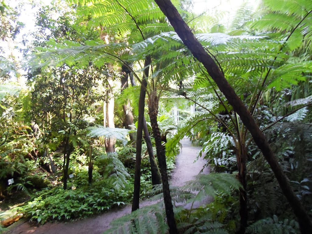 Botanic Garden in Würzburg by DK G