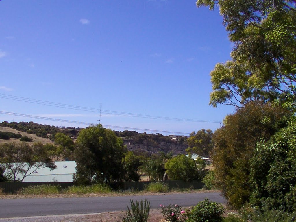 View across Rustler's Gully by Glockie