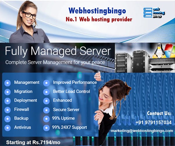 Webhosting service by web hosting bingo by webhostingbingo