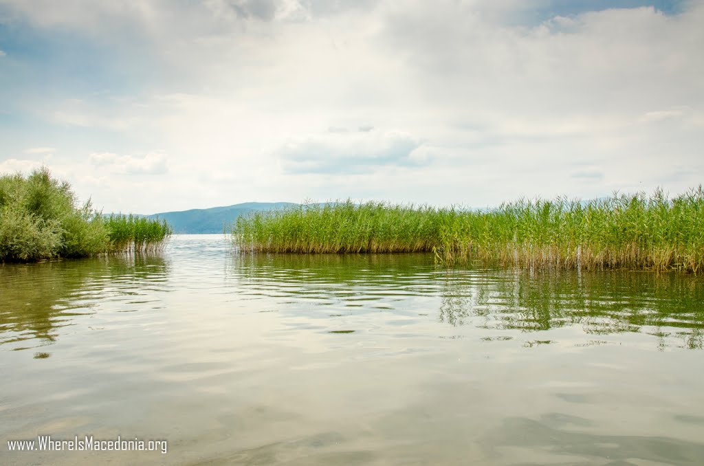 Dupeni Beach, Prespa, Macedonia by WhereIs Macedonia