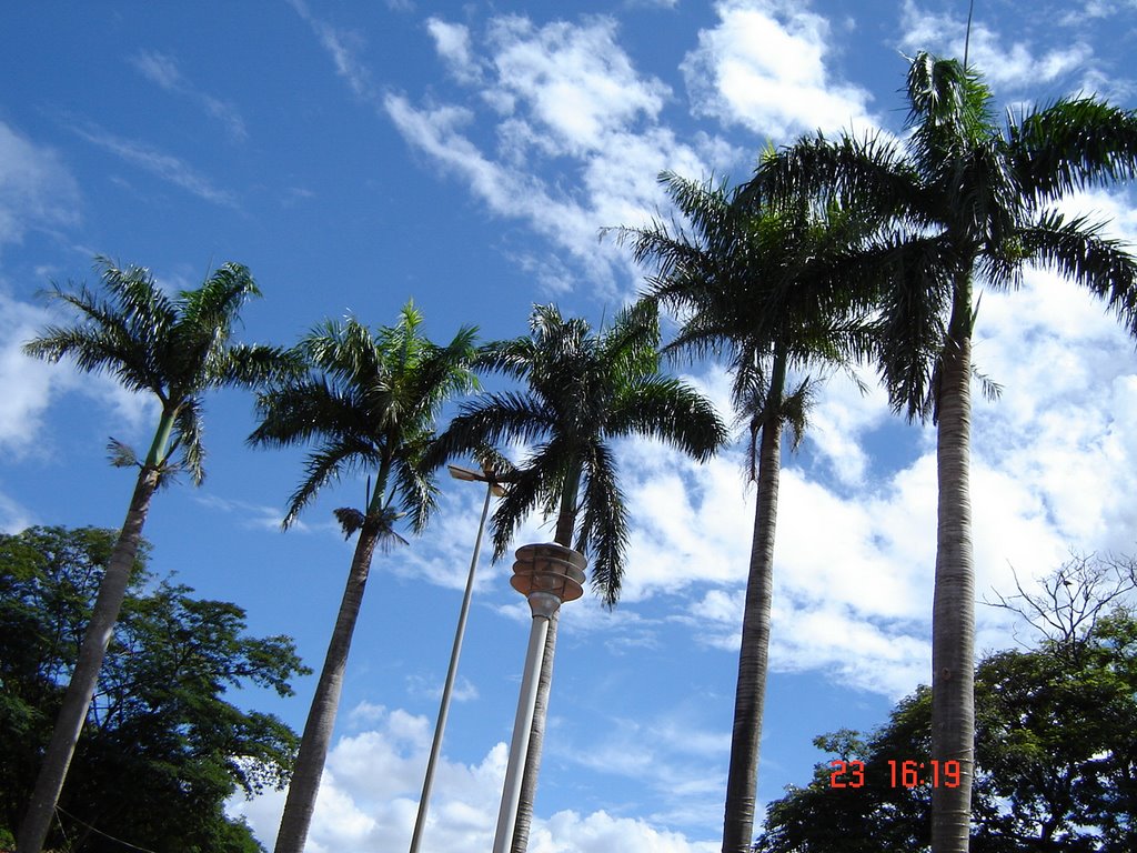 Coqueiros - Praça Amadeo Piovesan by Claudirene