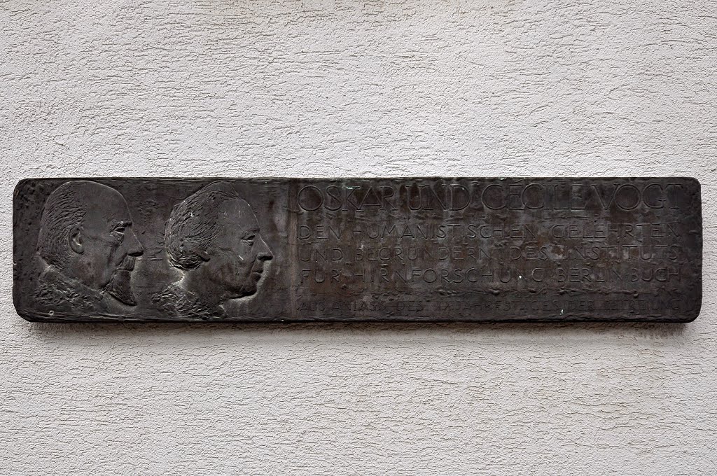 Memorial to Oskar and Cécil Vogt at the wall of former building of Brain Research Institute by IPAAT