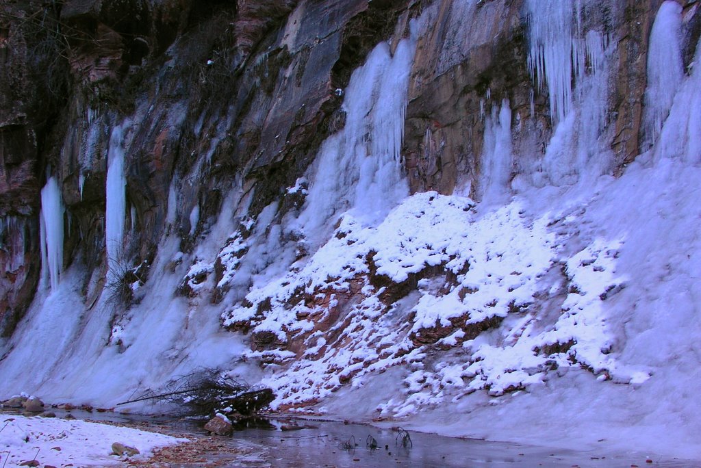 West Fork Trail in December by cridebring