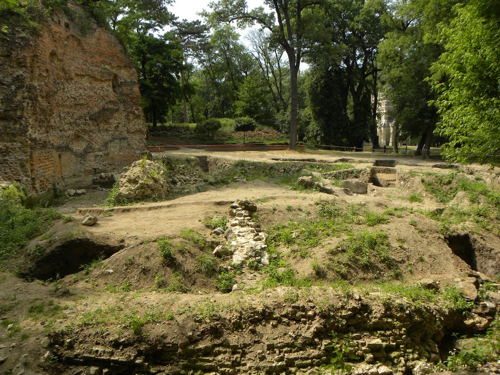 Parič castle from the 13th century in Trebišov / hrad Parič z 13 storočia v Trebišove by Milan Škovran